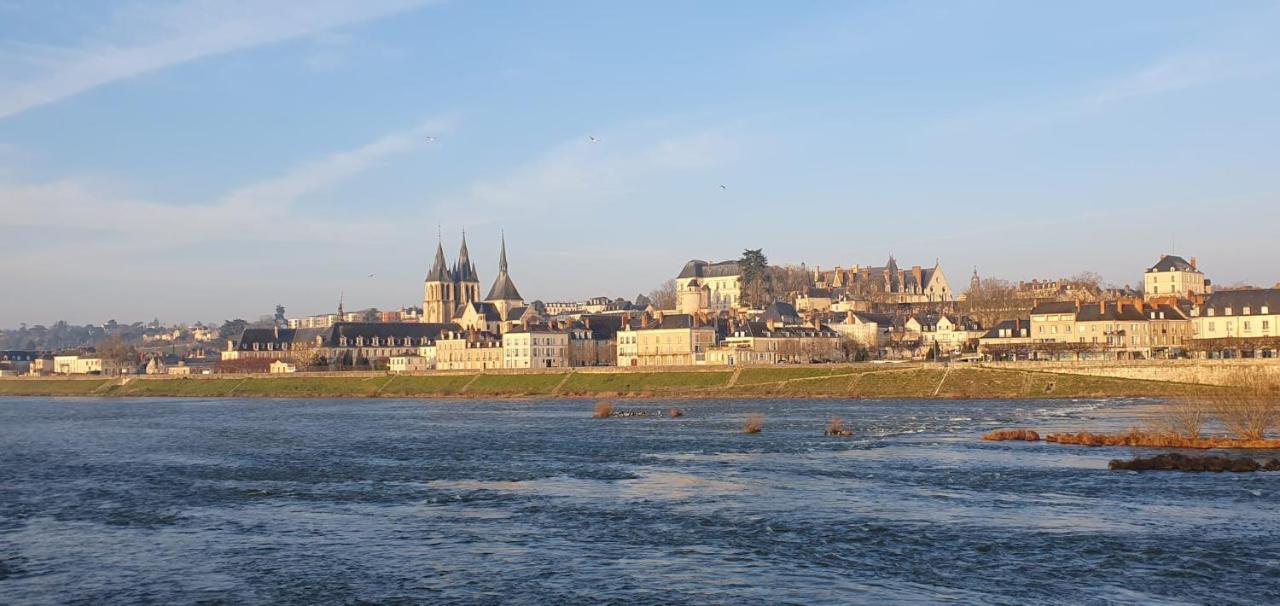 Duplex 60 M2 Bord De Loire Apartment Blois Luaran gambar