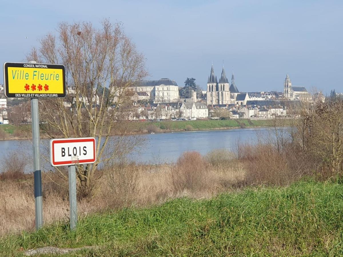 Duplex 60 M2 Bord De Loire Apartment Blois Luaran gambar